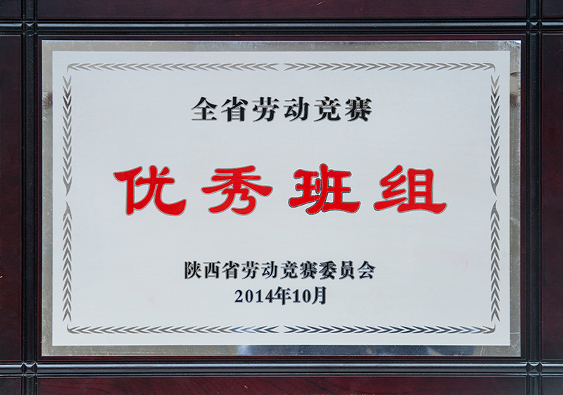全省勞動(dòng)競賽優(yōu)秀班組