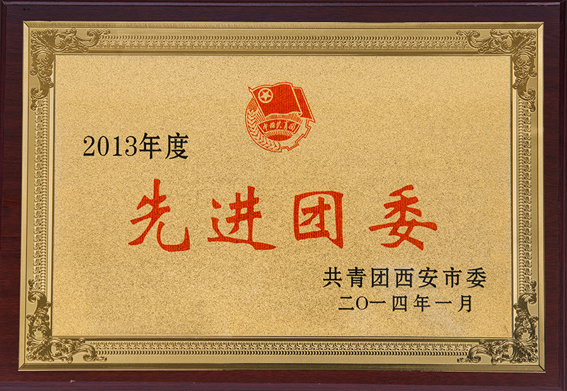 2013年度先進(jìn)團委
