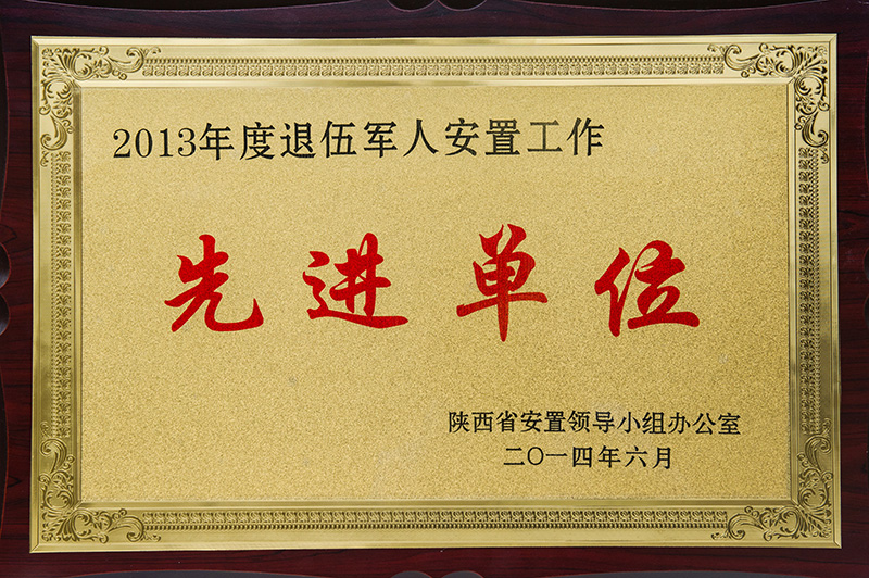 2013年度退伍軍人安置工作先進(jìn)單位